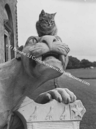 CAT ON CARVED LION AT EMO COURT